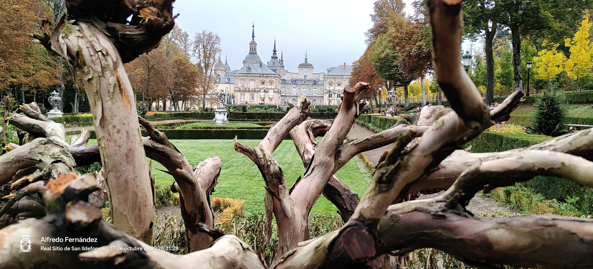 Palacio de La Granja enmarcado por ramas retorcidas y jardines con setos en otoño.